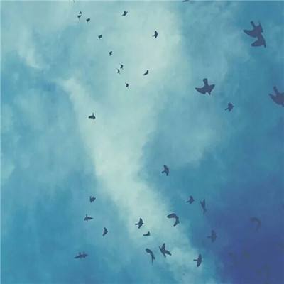 永乐国际手机app下载