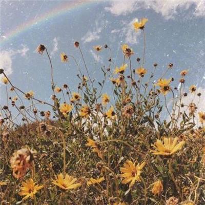 金沙集团186CCapp下载