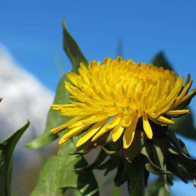 欢迎使用BOB半岛